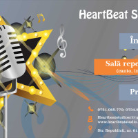 Inregistrari audio