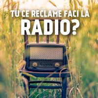 Inregistrare reclame audio, mesagerie vocala, etc