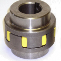 Cuplaj elastic pompa-motor