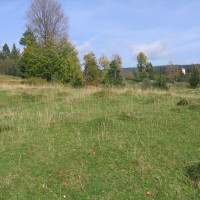 Teren intravilan agricol-Rasnov