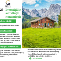Investitii in activitatii nonagricole