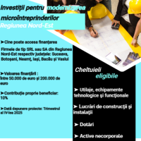 Fonduri Nerambursabile Microintreprinderi 200.000 de euro
