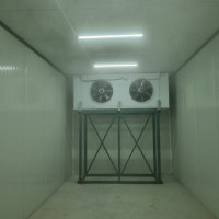 Tunel de congelare rapida