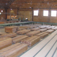 Instalatii sortare scandura