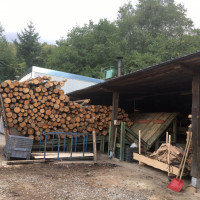 Lantuti de transfer sau trasport