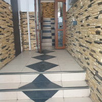 Zugraveli scari de bloc/ Fatade