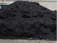 Pamant negru de padure vegetal pentru gradina Bucuresti si Ilfov
