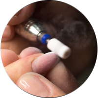 Curs Stilist Protezist Unghii False