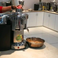 Storcator profesional fructe si legume, 220V