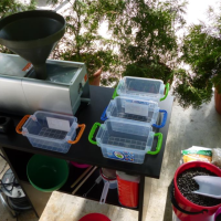 Presa ulei teste laborator