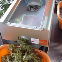 Presa de ulei electrica pentru seminte de dovleac