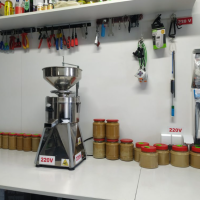 Masina unt de arahide 220V