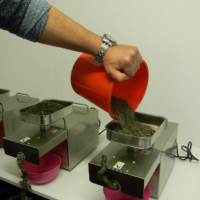 Presa ulei teste acid oleic