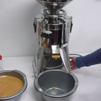 Masina unt de arahide 220V