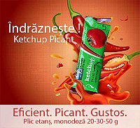 Ketchup Picant ( iute ) la plic