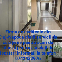 Firma de curatenie