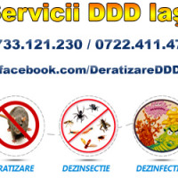 Servicii DDD Iasi Dezinfectie, dezinsectie,deratizare