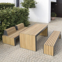 Set masa picnic parc si gradina B110