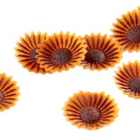 Flori Comestibile Iasi