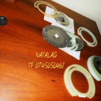 Disc de semanat semanatori NODET