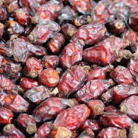 Macies uscat (trandafir salbatic)