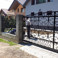 Panouri metalice de gard - poarta