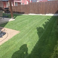 Amenajari curti si gradini