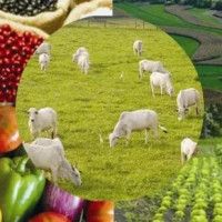 Consultanta accesare grant 5000 euro