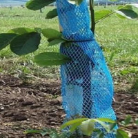 Plasa anti rozatoare/protectie copacei/ garantie/producator