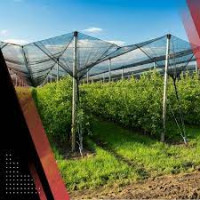 Plasa Antigrindina/Import Italia/Garantie
