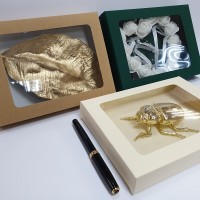 Cutii carton cu fereastra