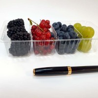 Tavita cu 4 alveole M8002