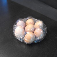 Caserole oua gaina 7 compartimente (model Jumbo) M4143