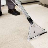 Servicii curatare mocheta