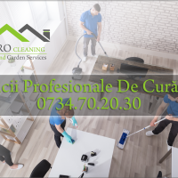 Servicii curatenie Timisoara