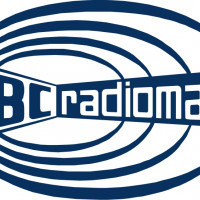 Sisteme radiocomanda poduri rulante