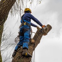 Servicii Alpinism Utilitar - Lucru la inaltime