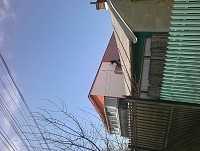 Renovari  fatade  cladiri