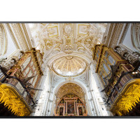 Display profesional Samsung  55'' LH55QMNEBGC/EN