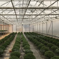 Ecrane termice si de umbrire pentru sere si solarii profesionale