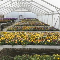 Masa de cultura cu grilaj, fixa sau mobila