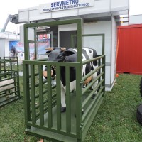 Cantar electronic pentru animale mari