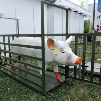 Cantar pentru animale medii si mici - demontabil
