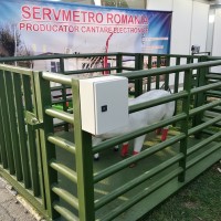 Cantar pentru animale – cantarire grup