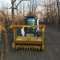 Defrisare ternuri cu vegetatie spontana.