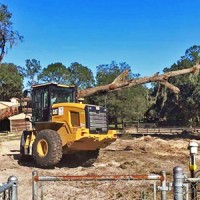 Oferim servicii defrisari/curatari terenuri, cu utilaje specializate