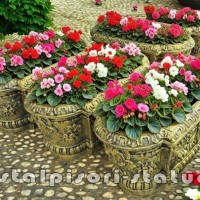 Jardiniera ornament flori, auriu antichizat, model J8.