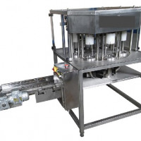 MASINA AUTOMATA PENTRU SCOS COTORUL MERELOR SI TAIAT IN FELII WEDGE