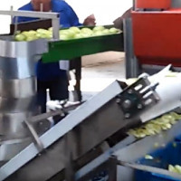 LINIE DESHIDRATARE FRUCTE - MERE, PERE