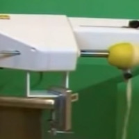 Utilaj decojit ,scos cotor si taiat in rondele-mere si pere